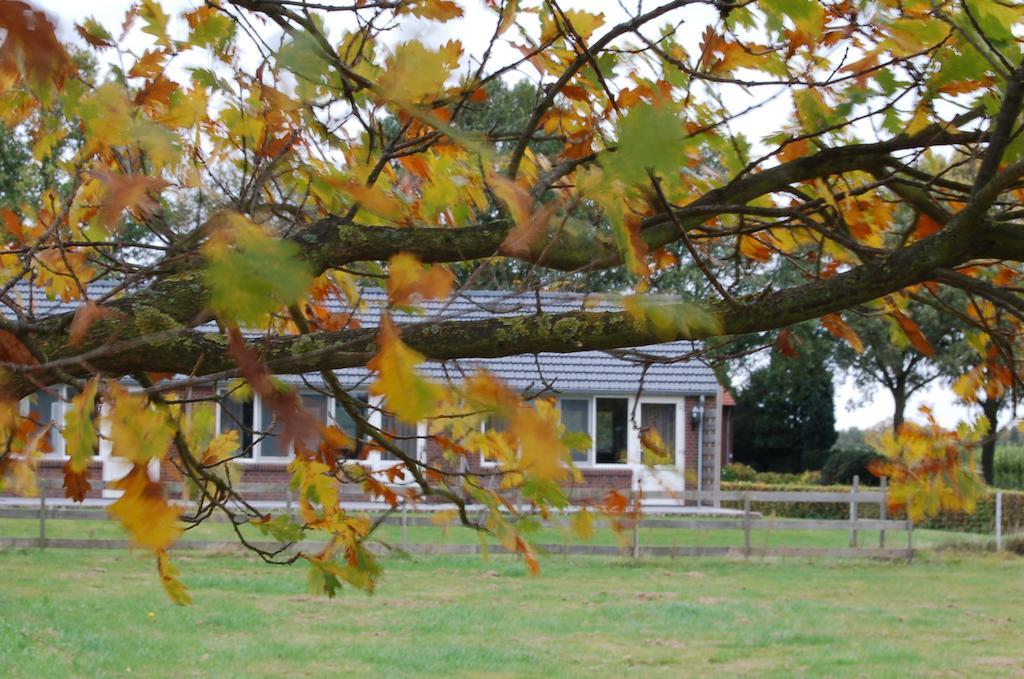 B&B Roodbeekerhof Vlodrop Εξωτερικό φωτογραφία
